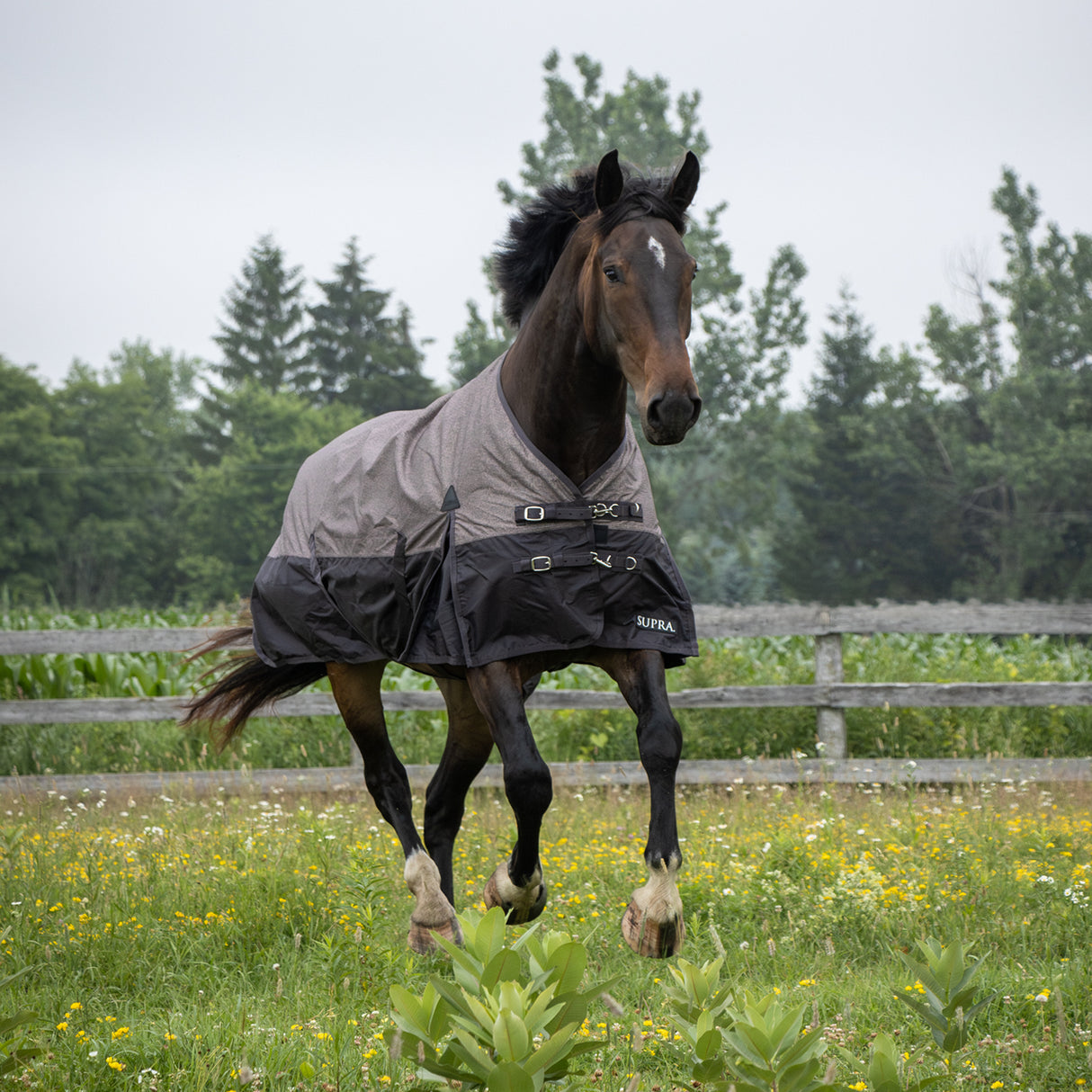 Couverture de pluie Supra