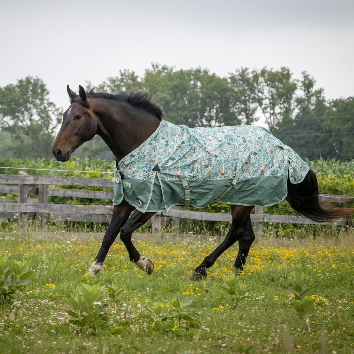 Couverture de pluie Supra