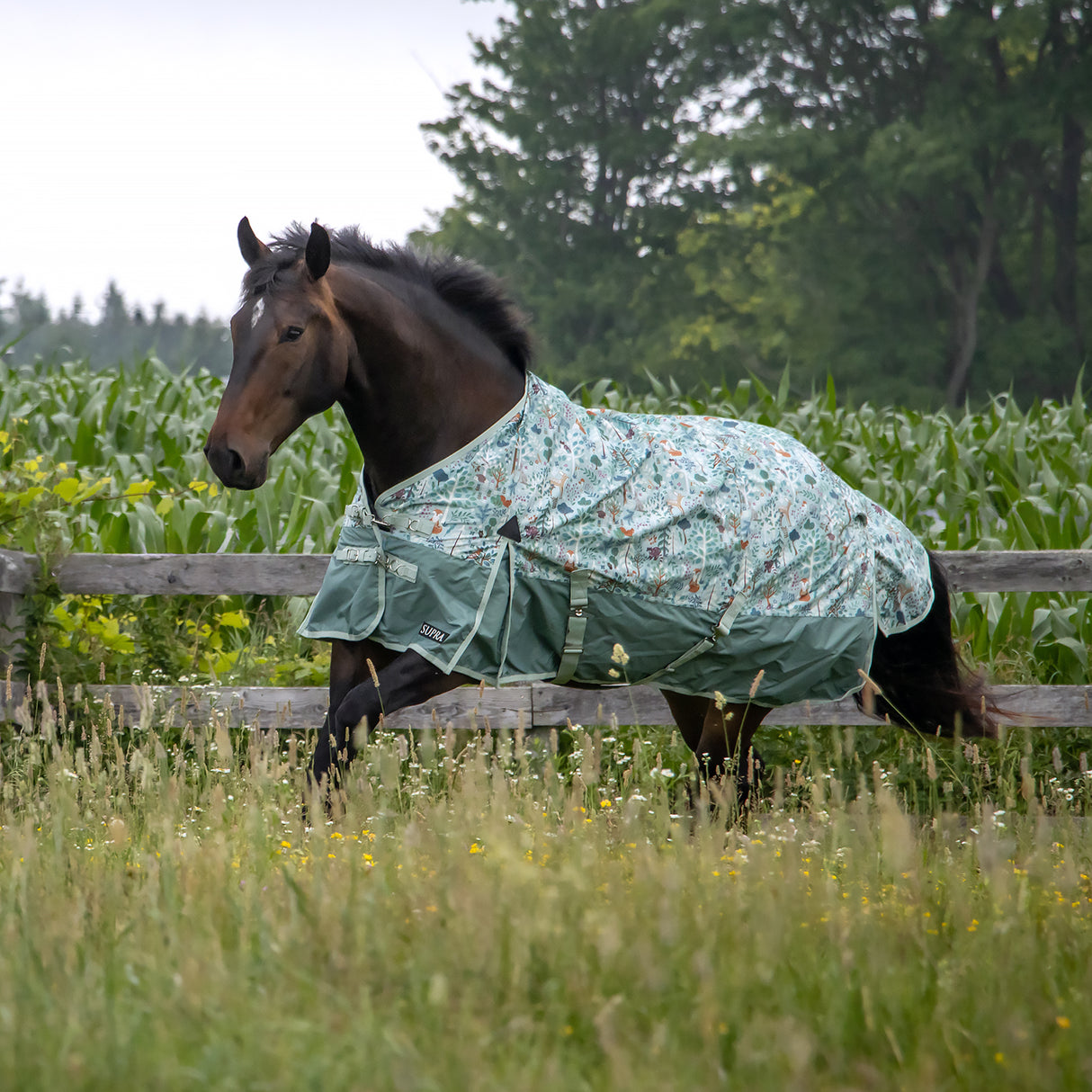 Couverture de pluie Supra