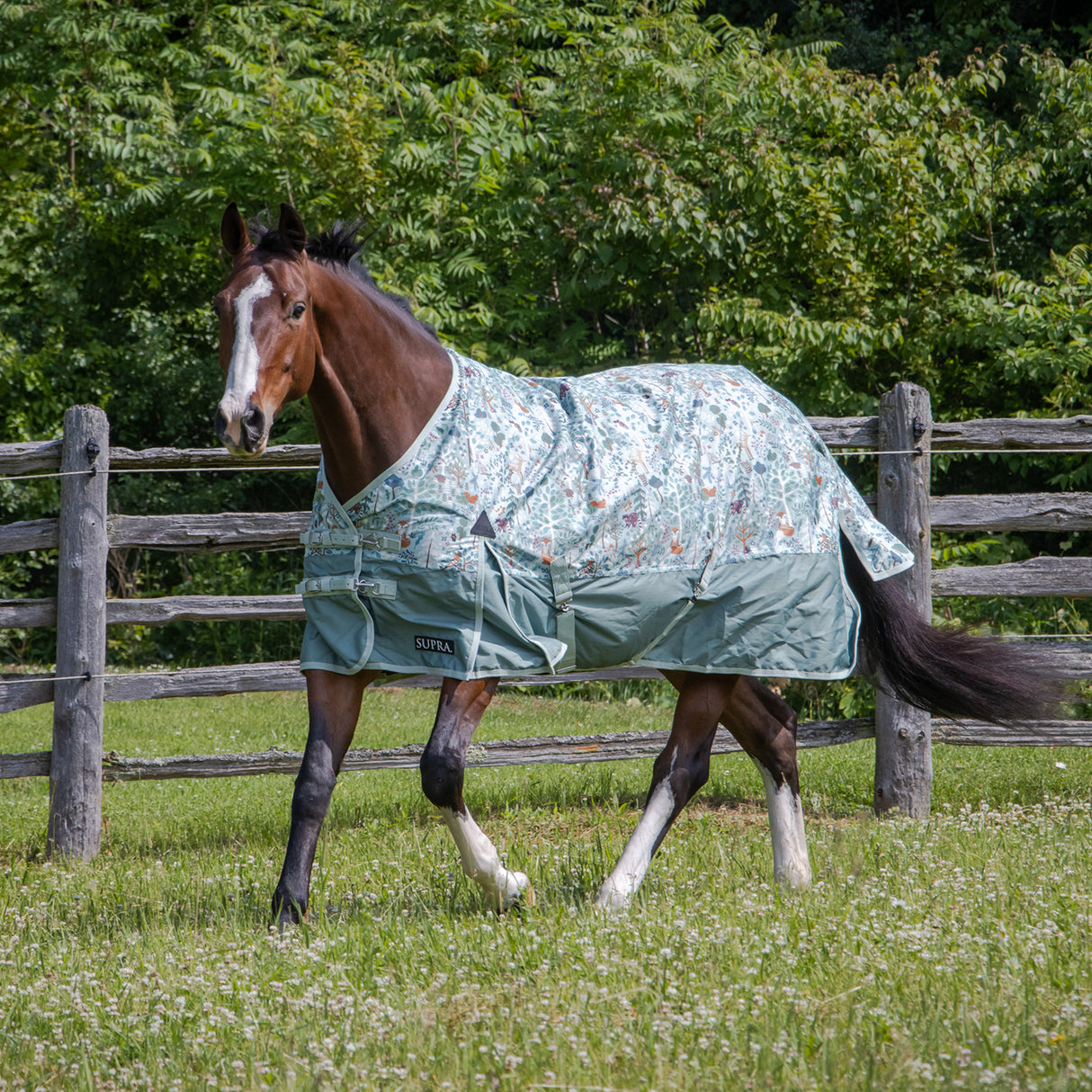 Couverture de pluie Supra