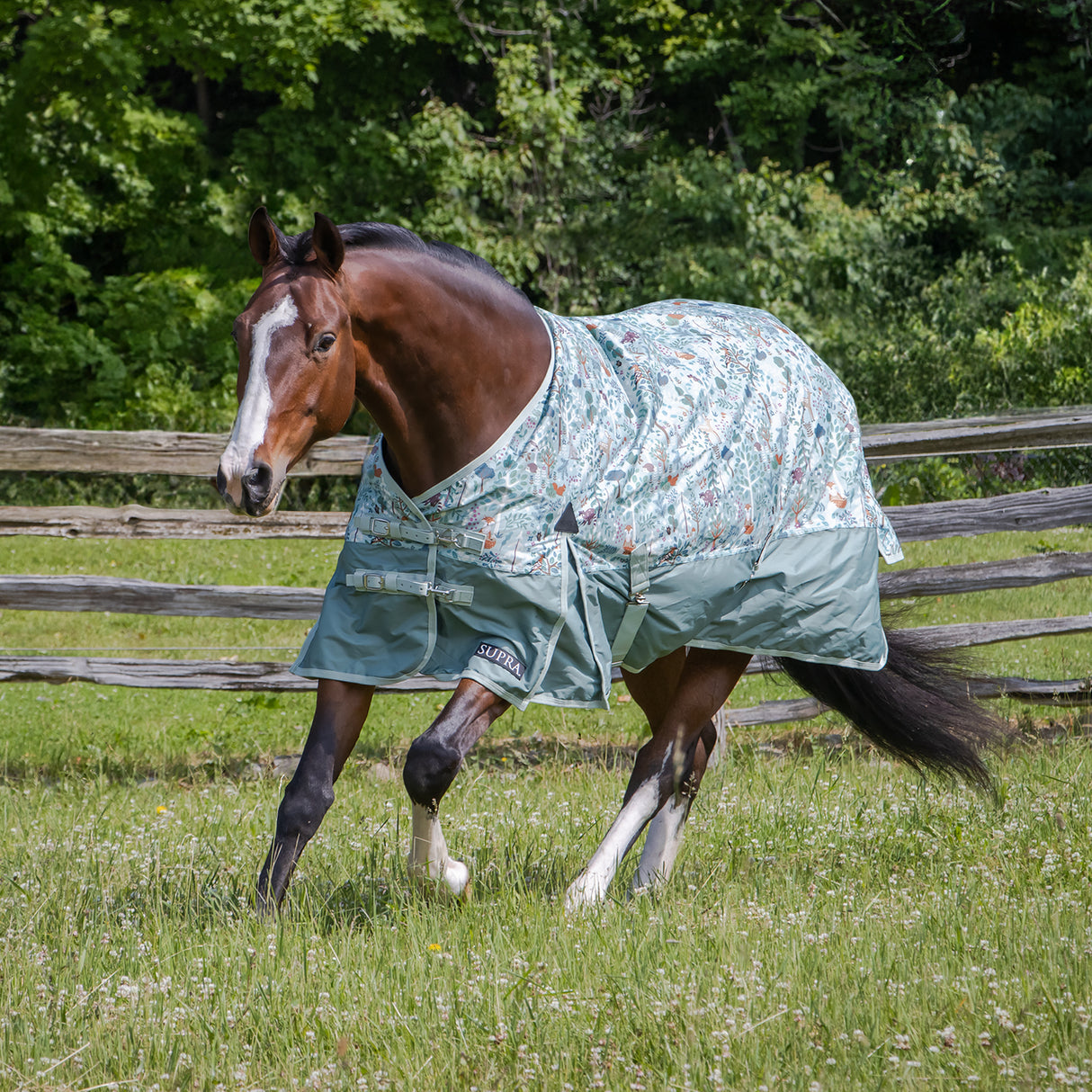 Couverture de pluie Supra