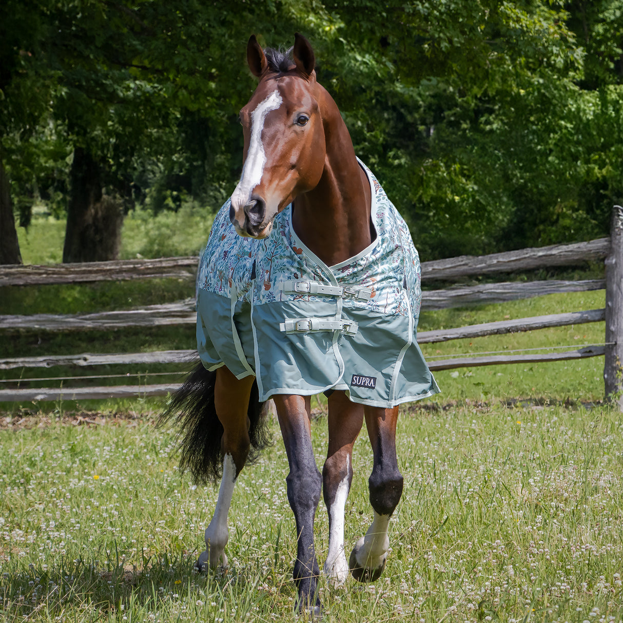 Couverture de pluie Supra