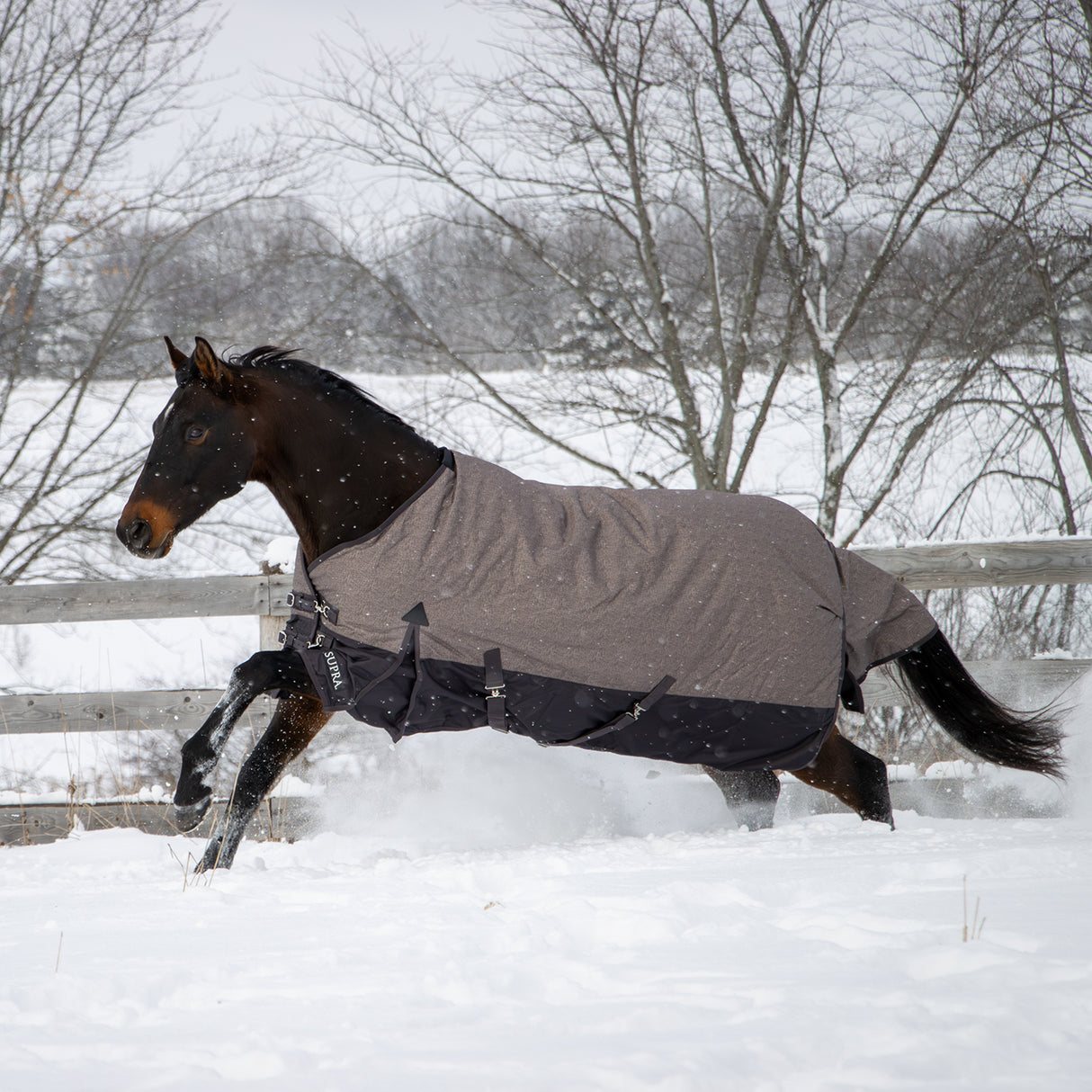 Supra Turnout Blanket 300 g