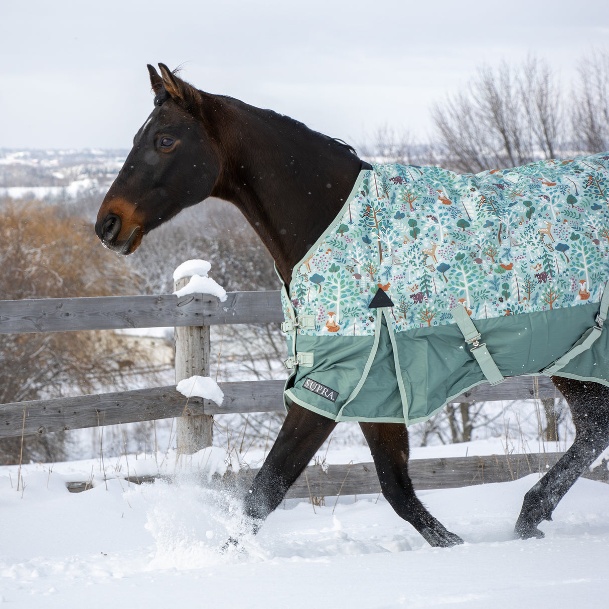 Supra Turnout Blanket 300 g
