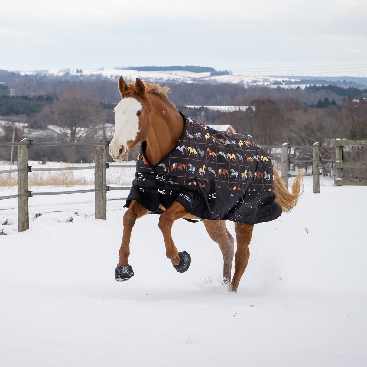 Supra Turnout Blanket 300 g