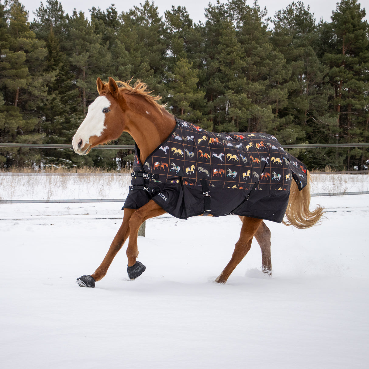 Supra Turnout Blanket 300 g