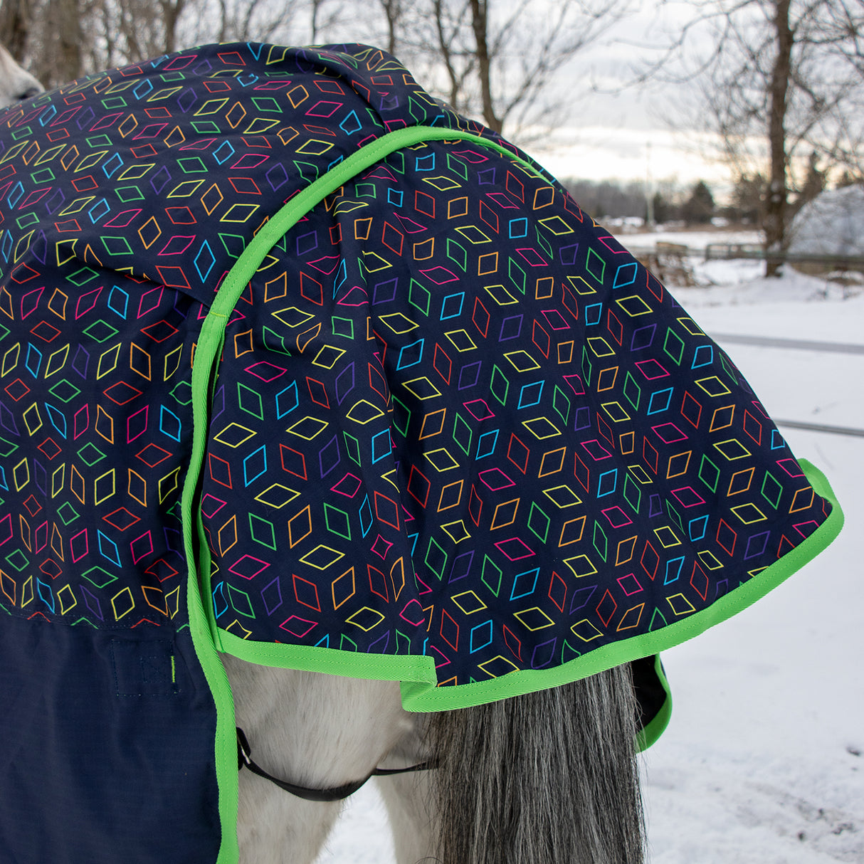 Supra Turnout Blanket 300 g