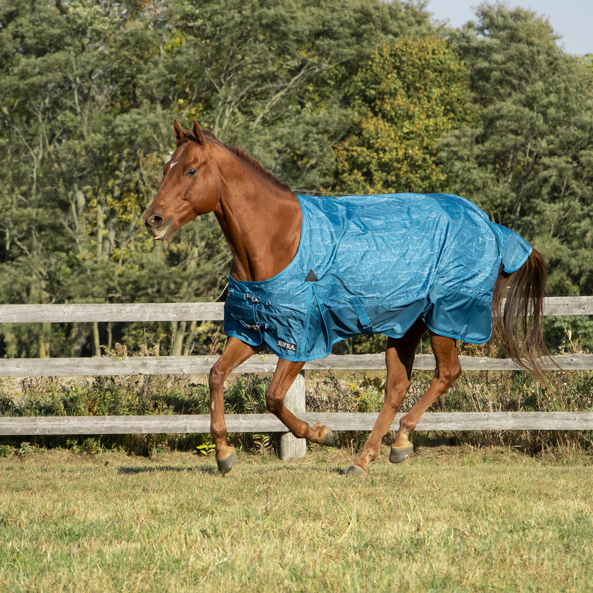 Couverture de pluie Supra