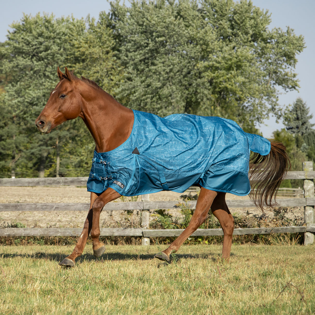 Couverture de pluie Supra