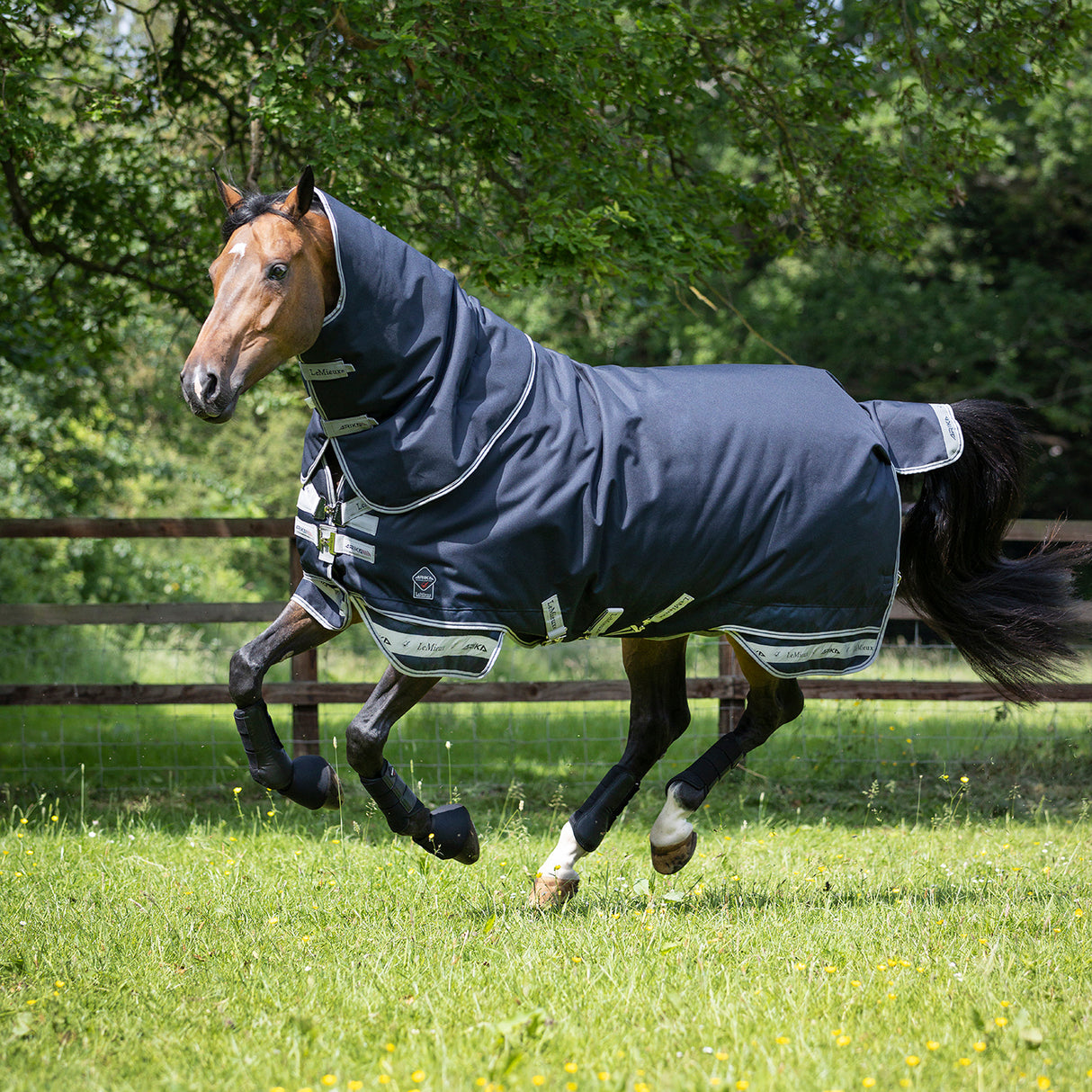 Couverture de pluie Featherweight LeMieux Arika 0 g