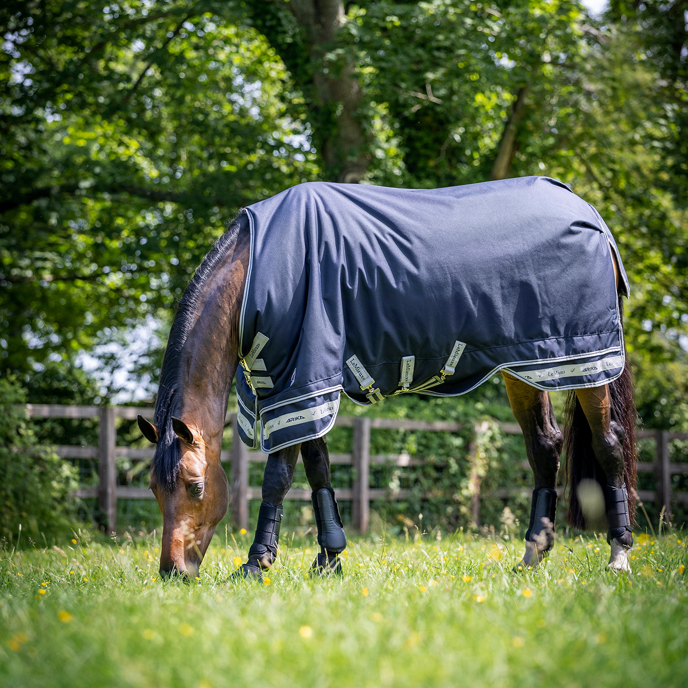 Couverture de pluie Featherweight LeMieux Arika 0 g