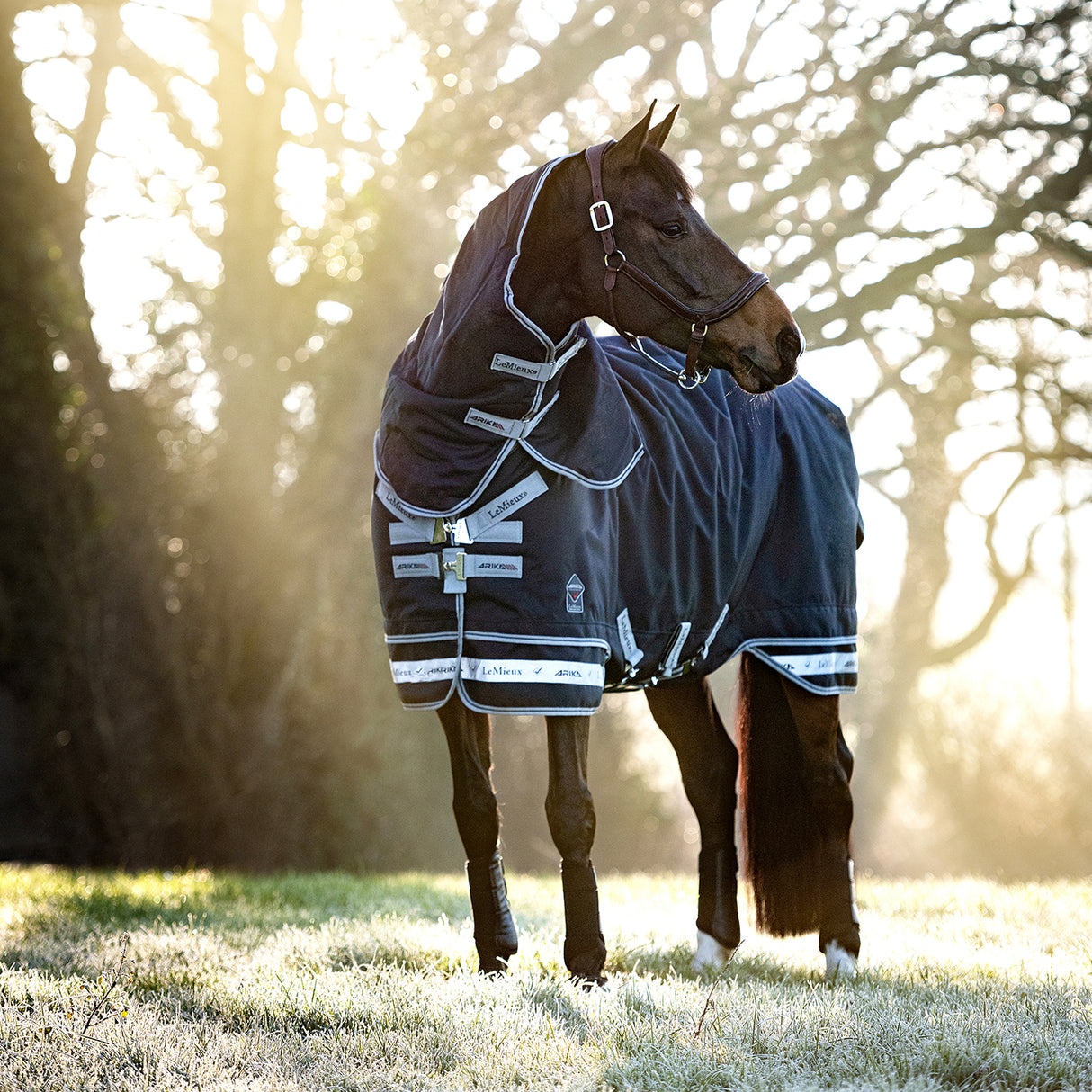 Couverture de pluie Featherweight LeMieux Arika 0 g