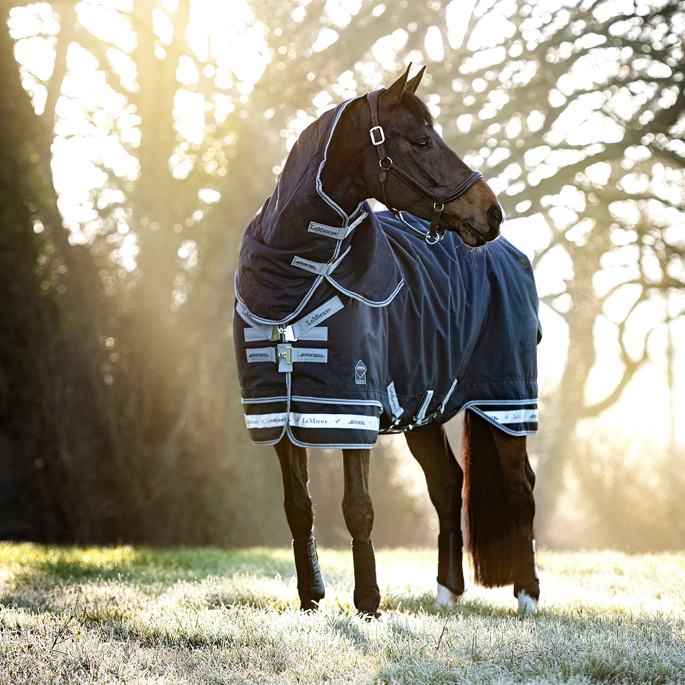 Couverture de pluie Featherweight LeMieux Arika 0 g