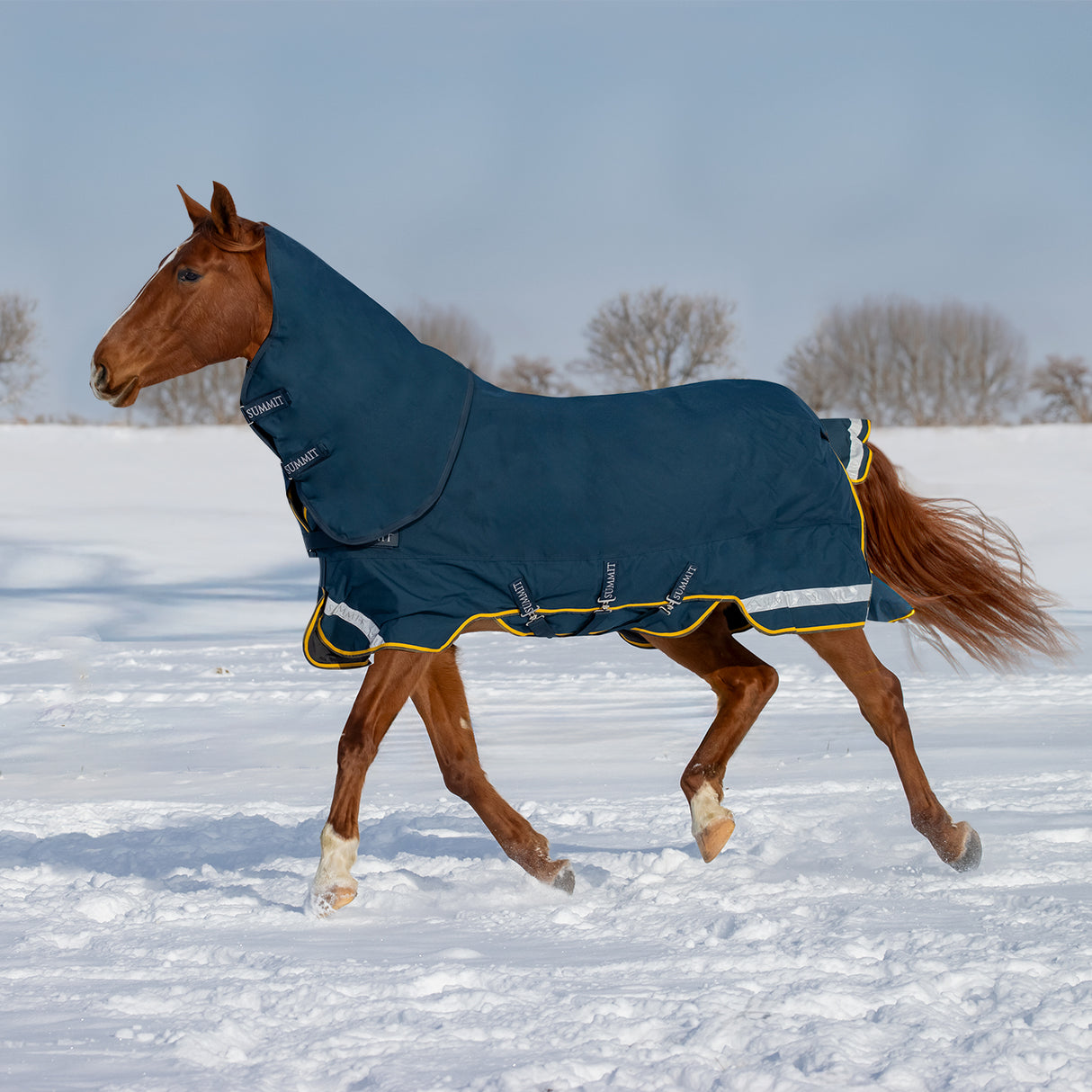 Summit Nova Turnout Blanket 250 g W/ 150 g Hood