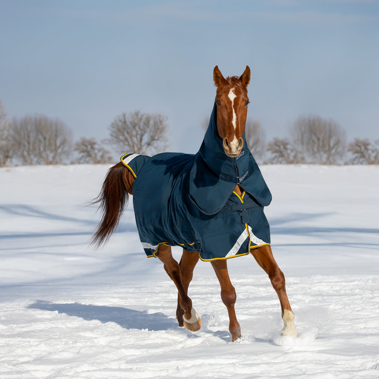 Summit Nova Turnout Blanket 250 g W/ 150 g Hood