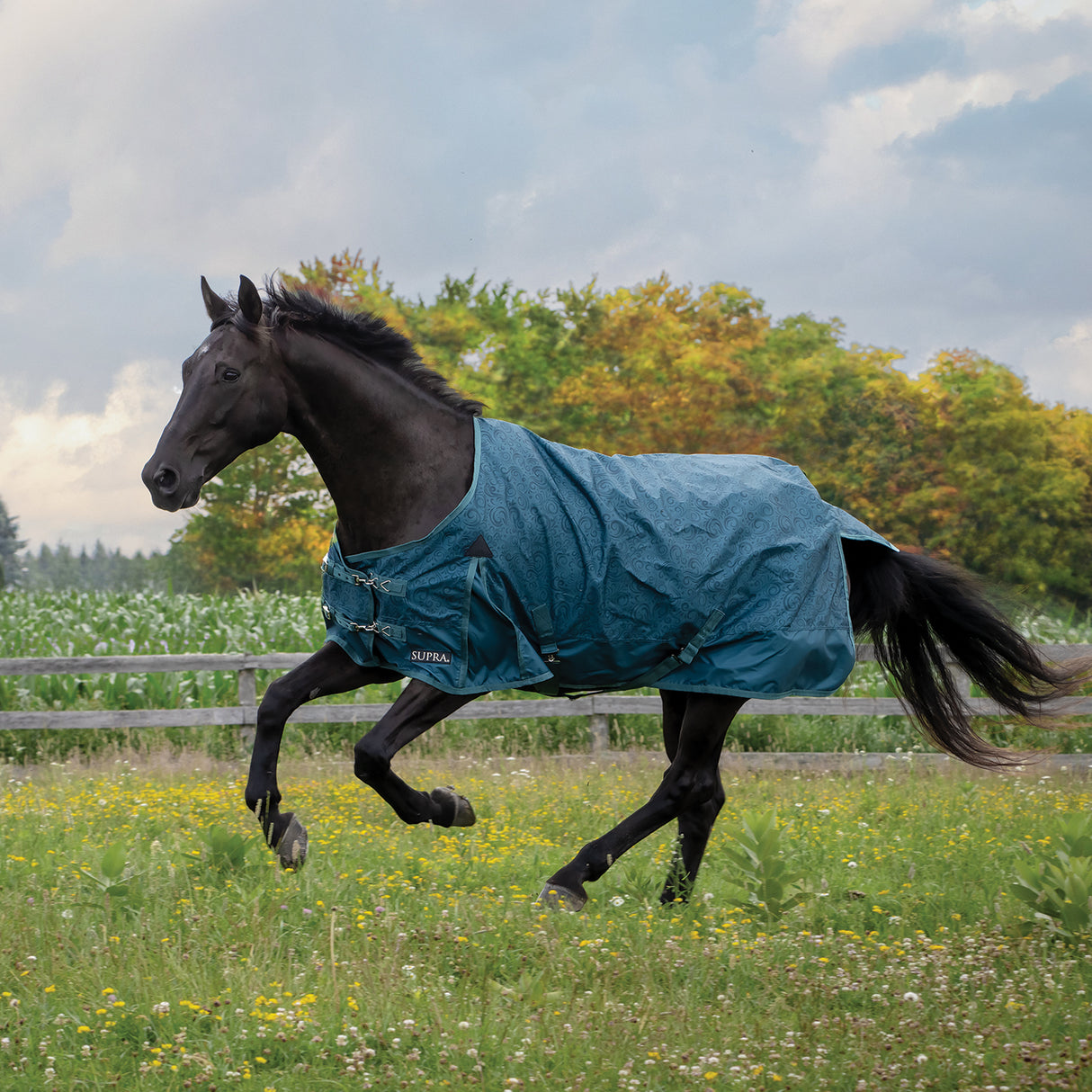 Supra Windward Swirl Rainsheet 0 g