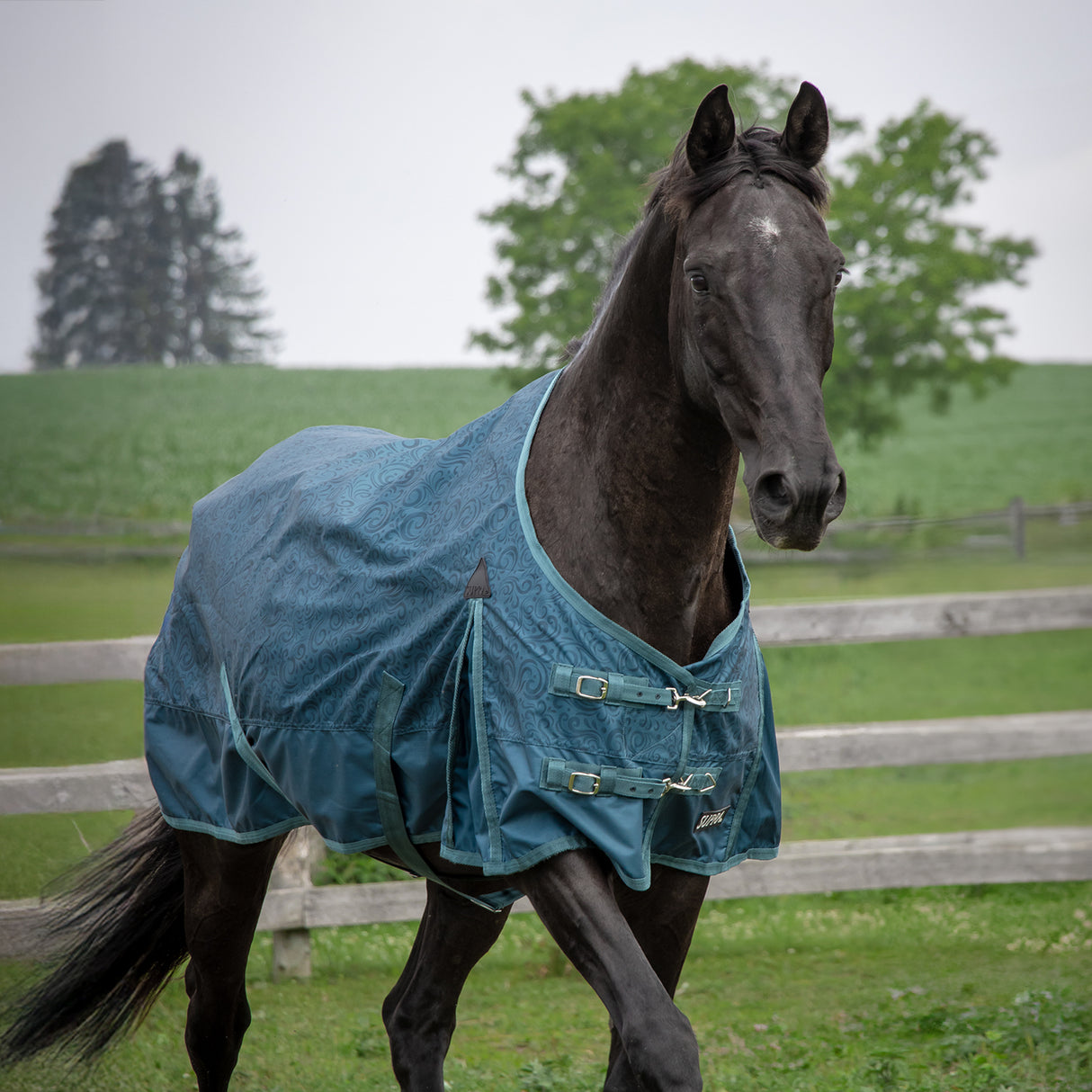 Supra Windward Swirl Rainsheet 0 g