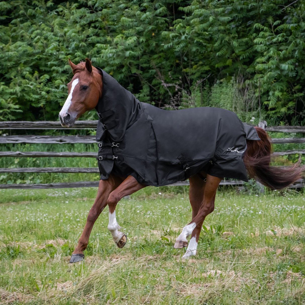 Couverture de pluie avec cou Shedrow 0 g