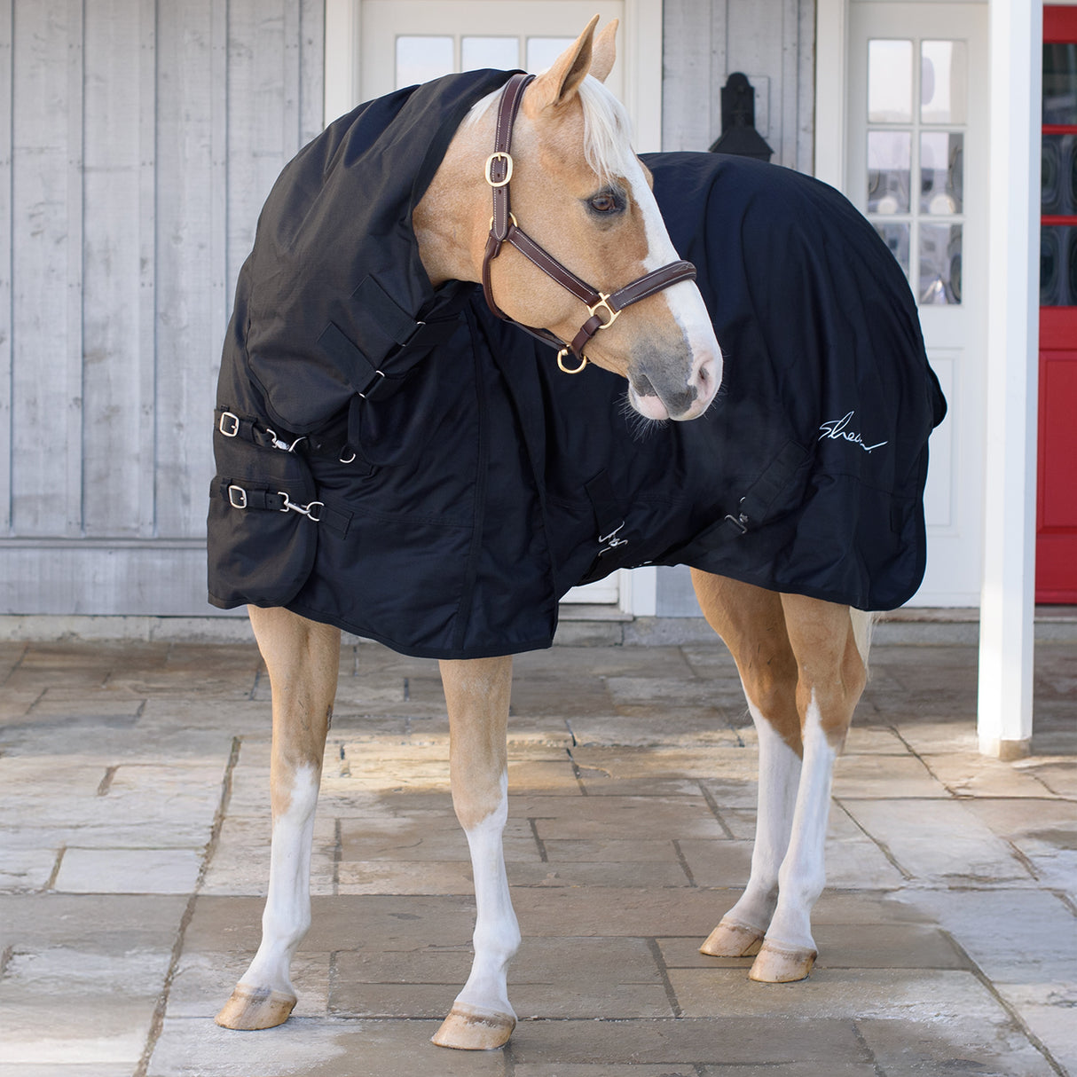 Couverture de pluie avec cou Shedrow 0 g