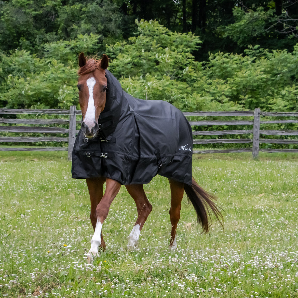 Couverture de pluie avec cou Shedrow 0 g