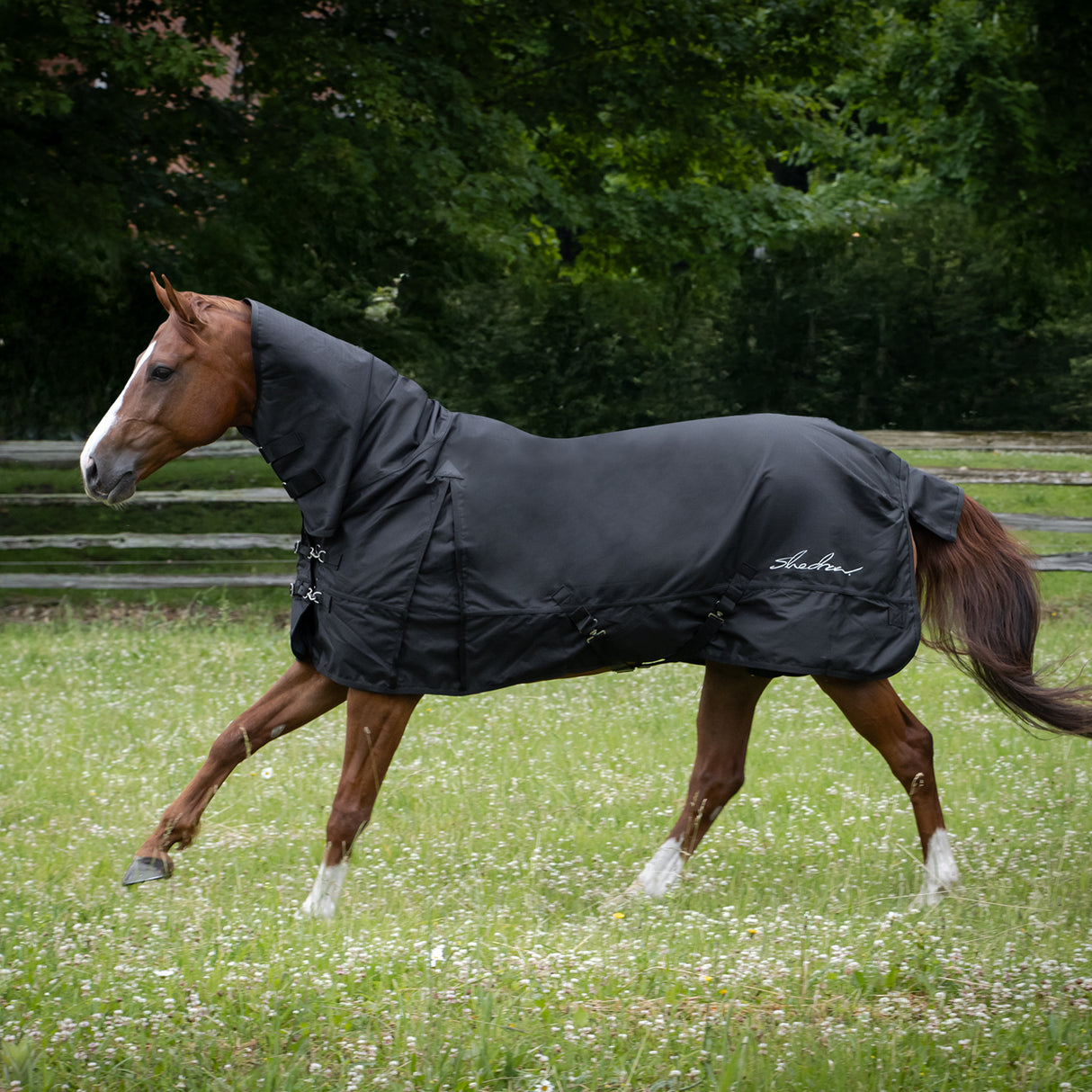 Couverture de pluie avec cou Shedrow 0 g