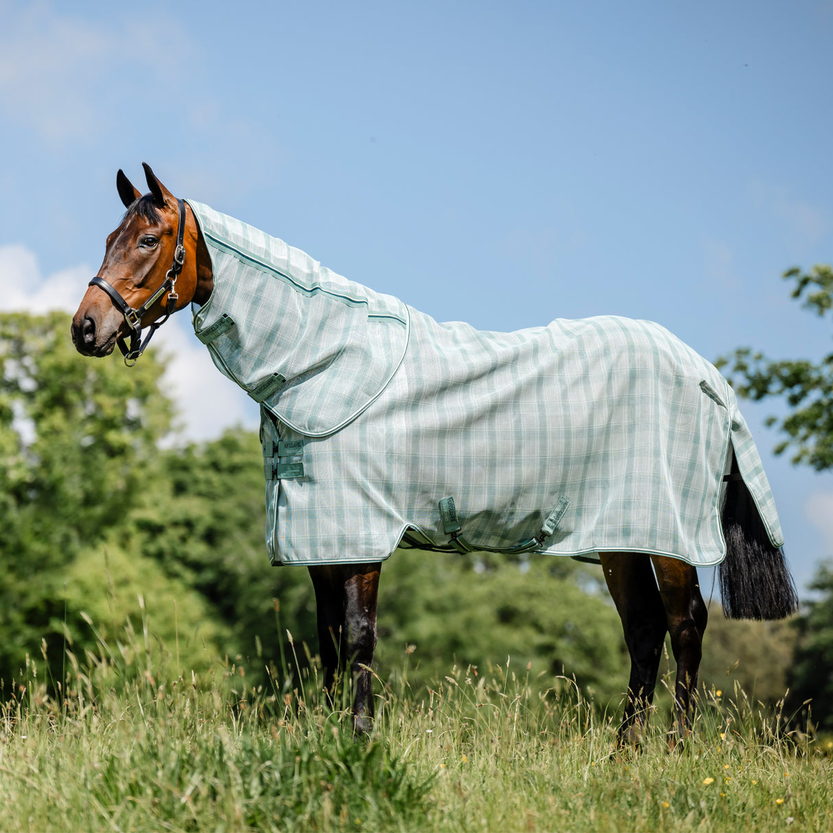 Horseware Newmarket Plus Fly Sheet