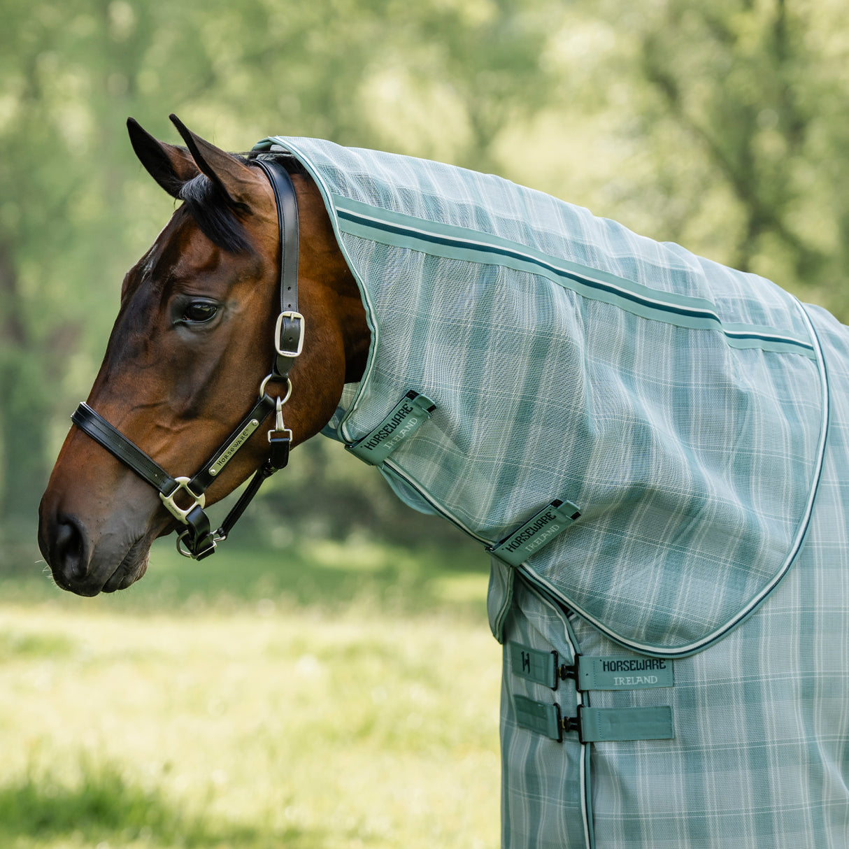 Horseware Newmarket Plus Fly Sheet