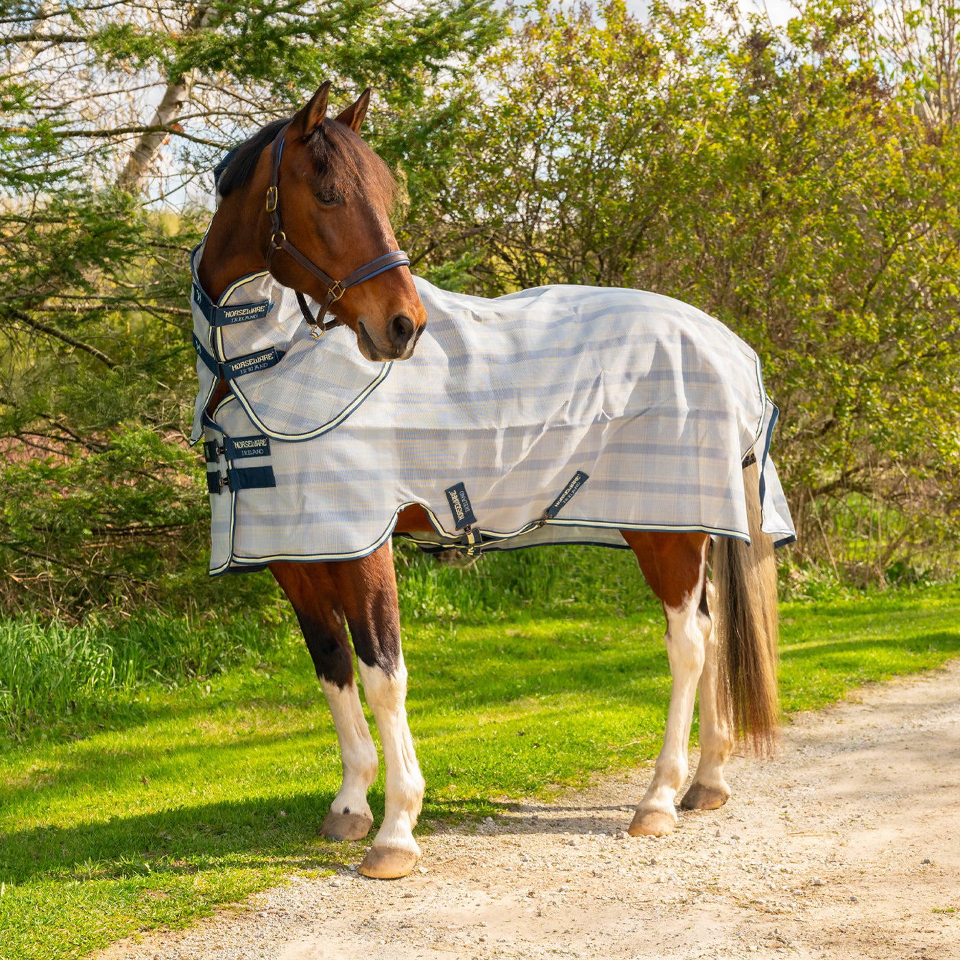 Couverture anti-mouches pour poney Horseware Newmarket Plus