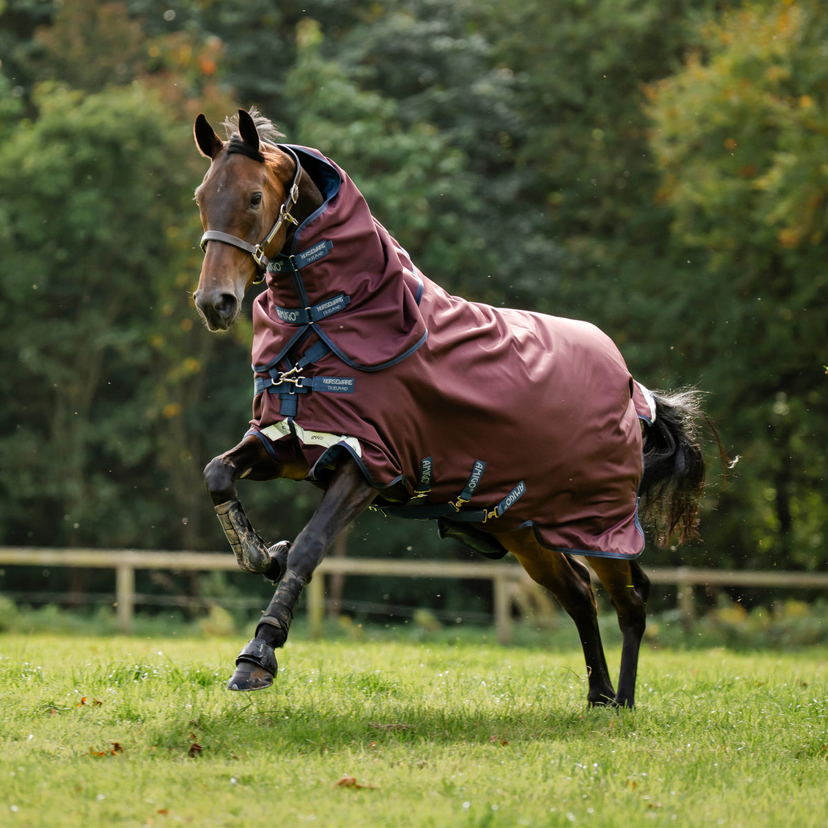 Amigo Bravo 12 Plus Turnout Blanket 0 g