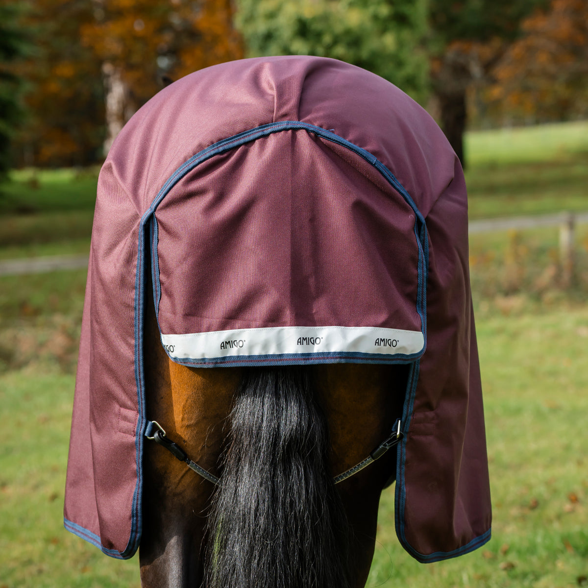 Amigo Bravo 12 Plus Turnout Blanket 0 g