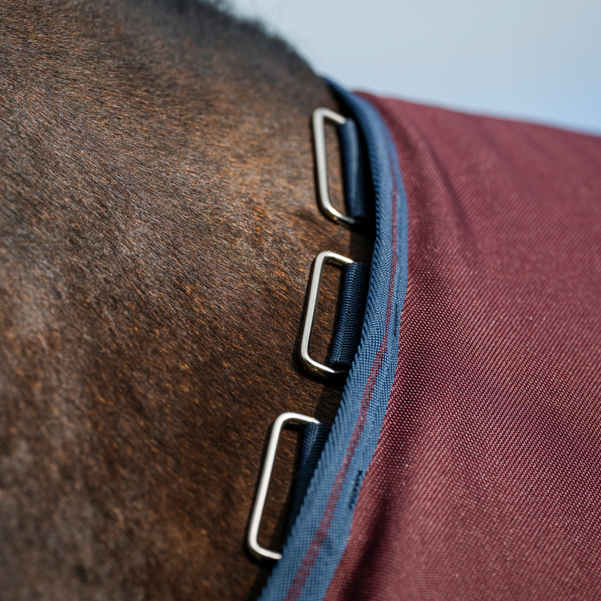 Amigo Bravo 12 Plus Turnout Blanket 0 g