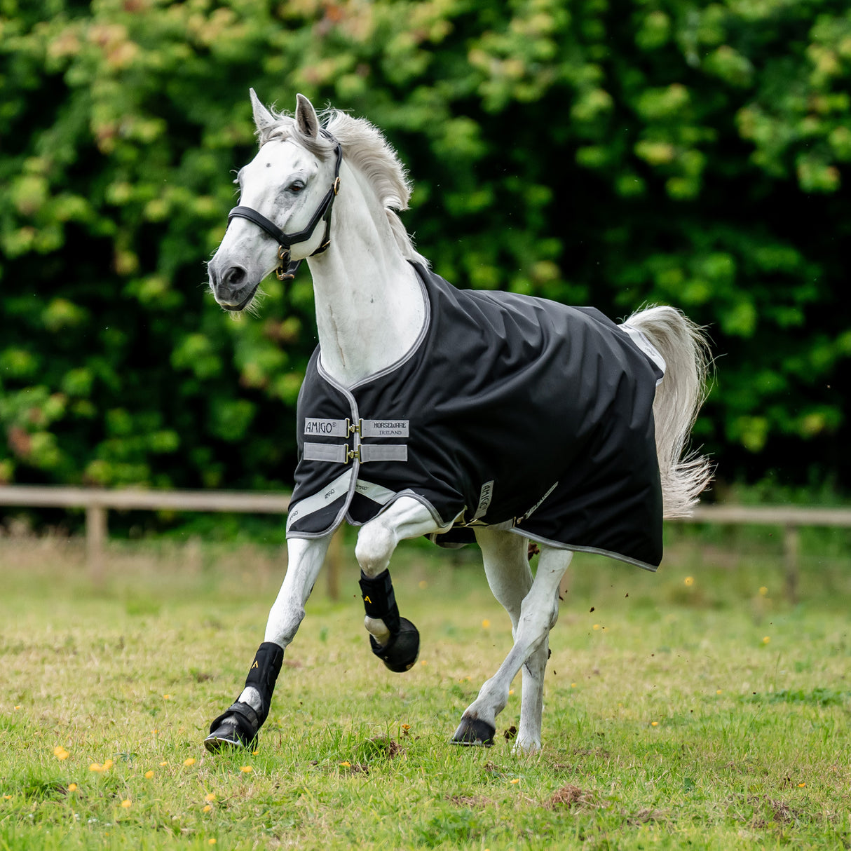 Couverture d'extérieur Amigo Bravo 12 Original 0 g