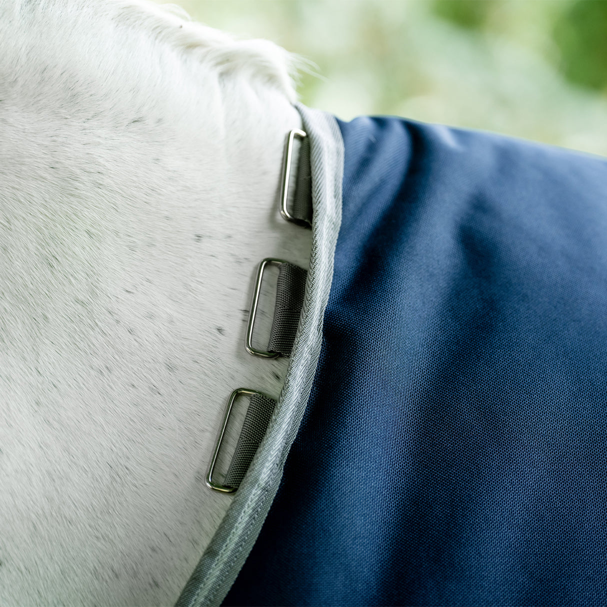 Amigo Bravo 12 Original Turnout Blanket 0 g