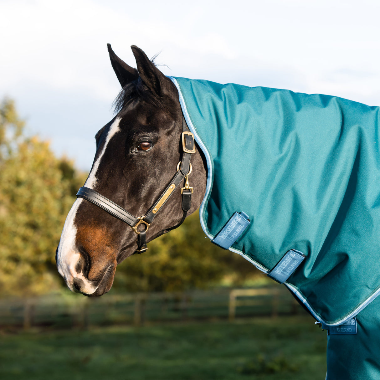 Amigo Bravo 12 Plus Heavy Turnout Blanket 400 g