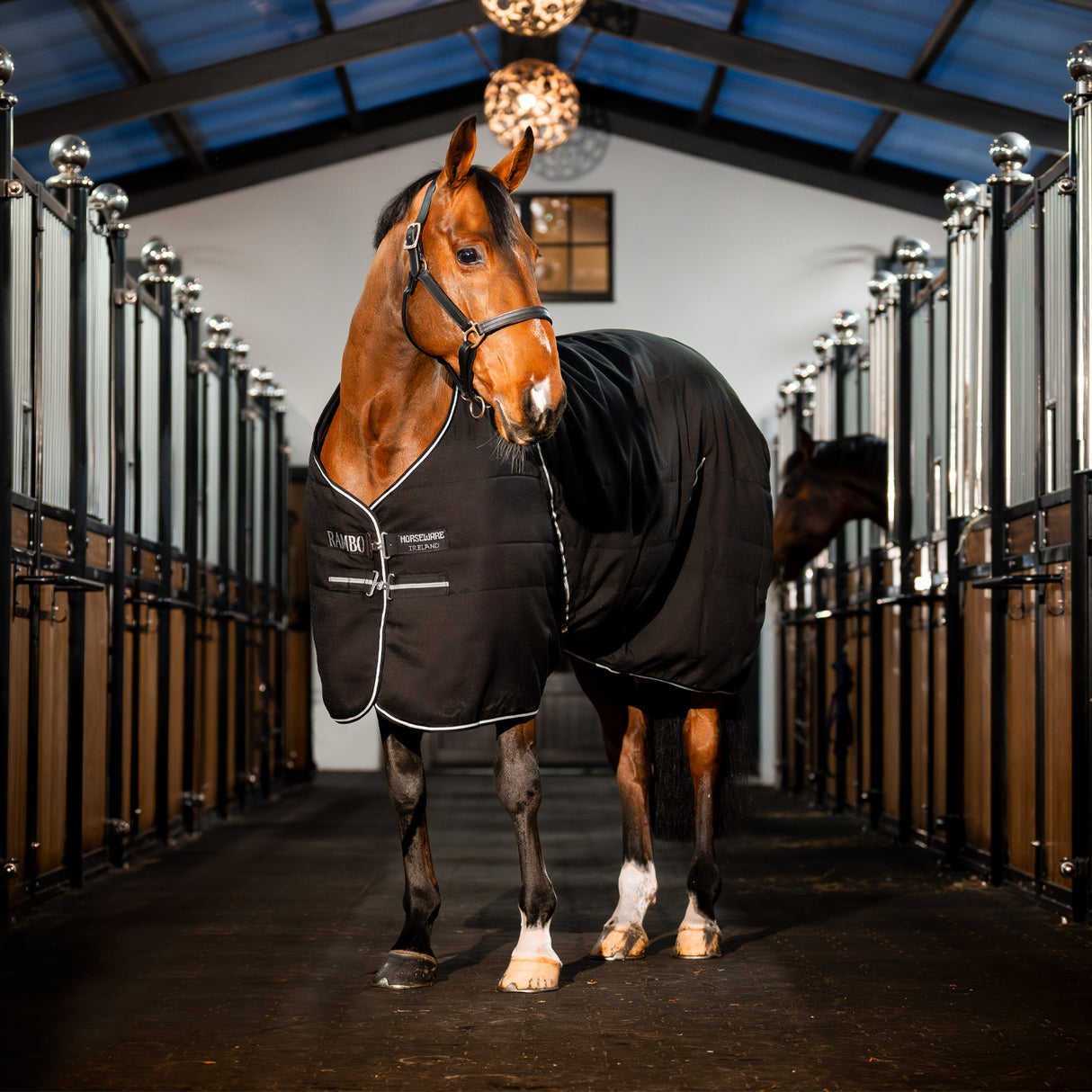 Rambo Stable Blanket 100 g
