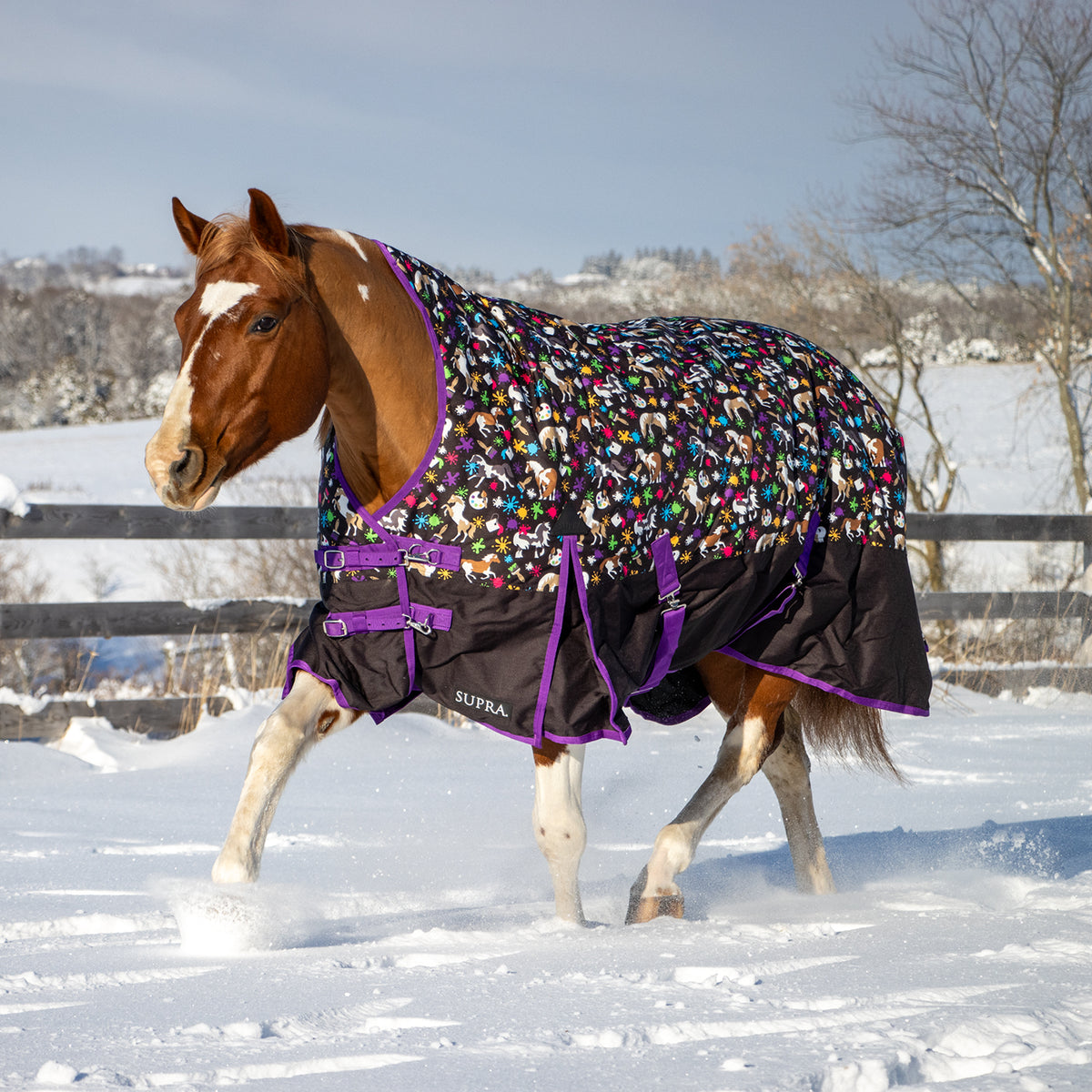 Supra Comfort Neck Turnout Blanket 300 g