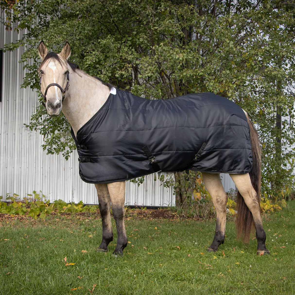 Couverture d'écurie 100 g