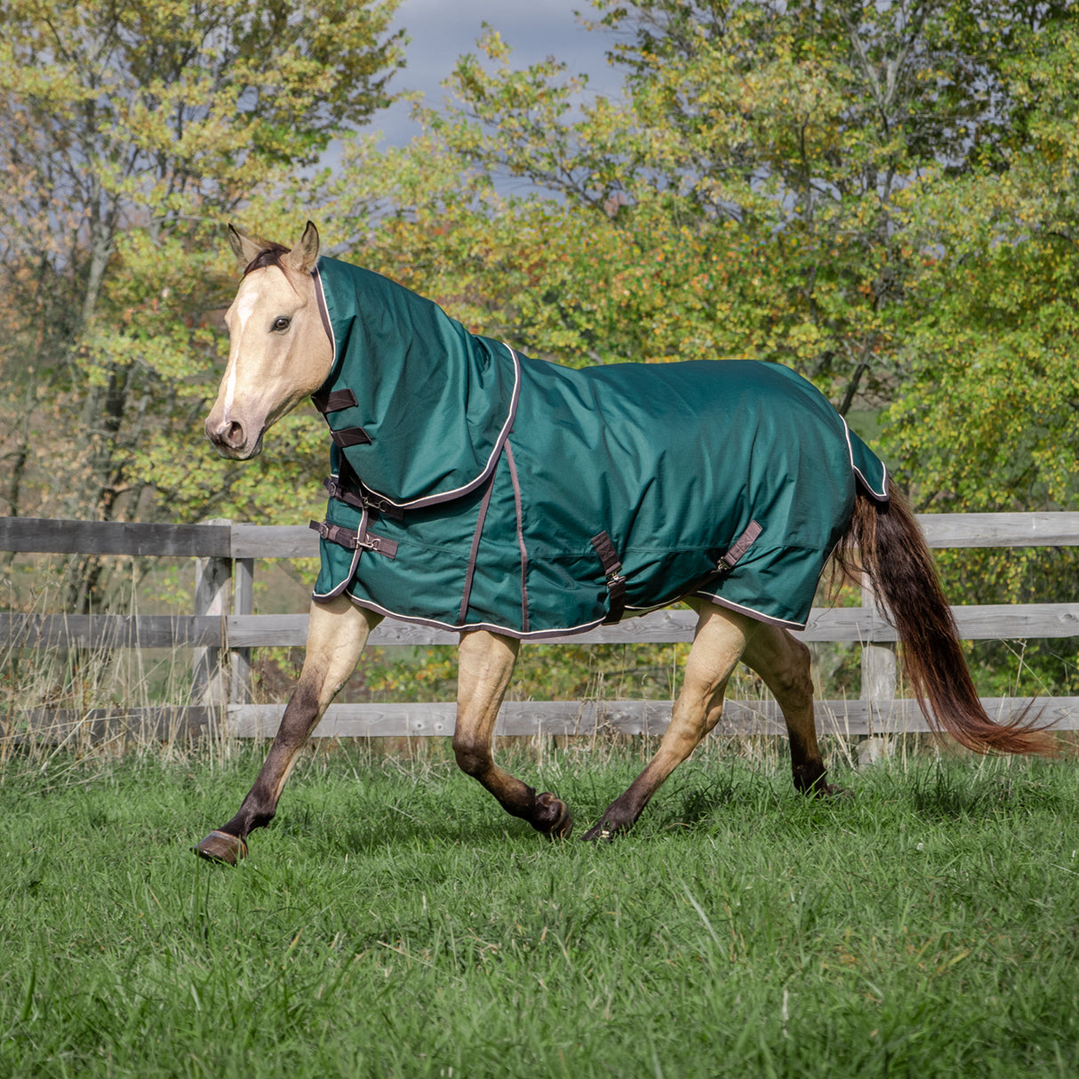 Shedrow Rainsheet W/ Hood 0 g