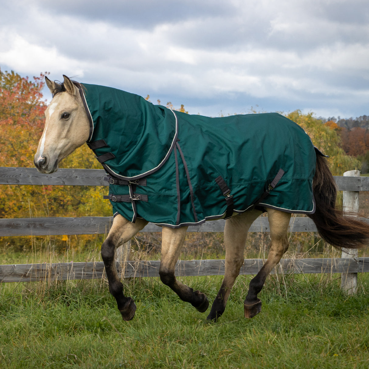 Shedrow Insulated Rainsheet W/ Hood 100 g