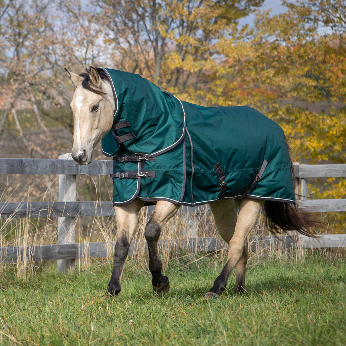 Shedrow Insulated Rainsheet W/ Hood 100 g