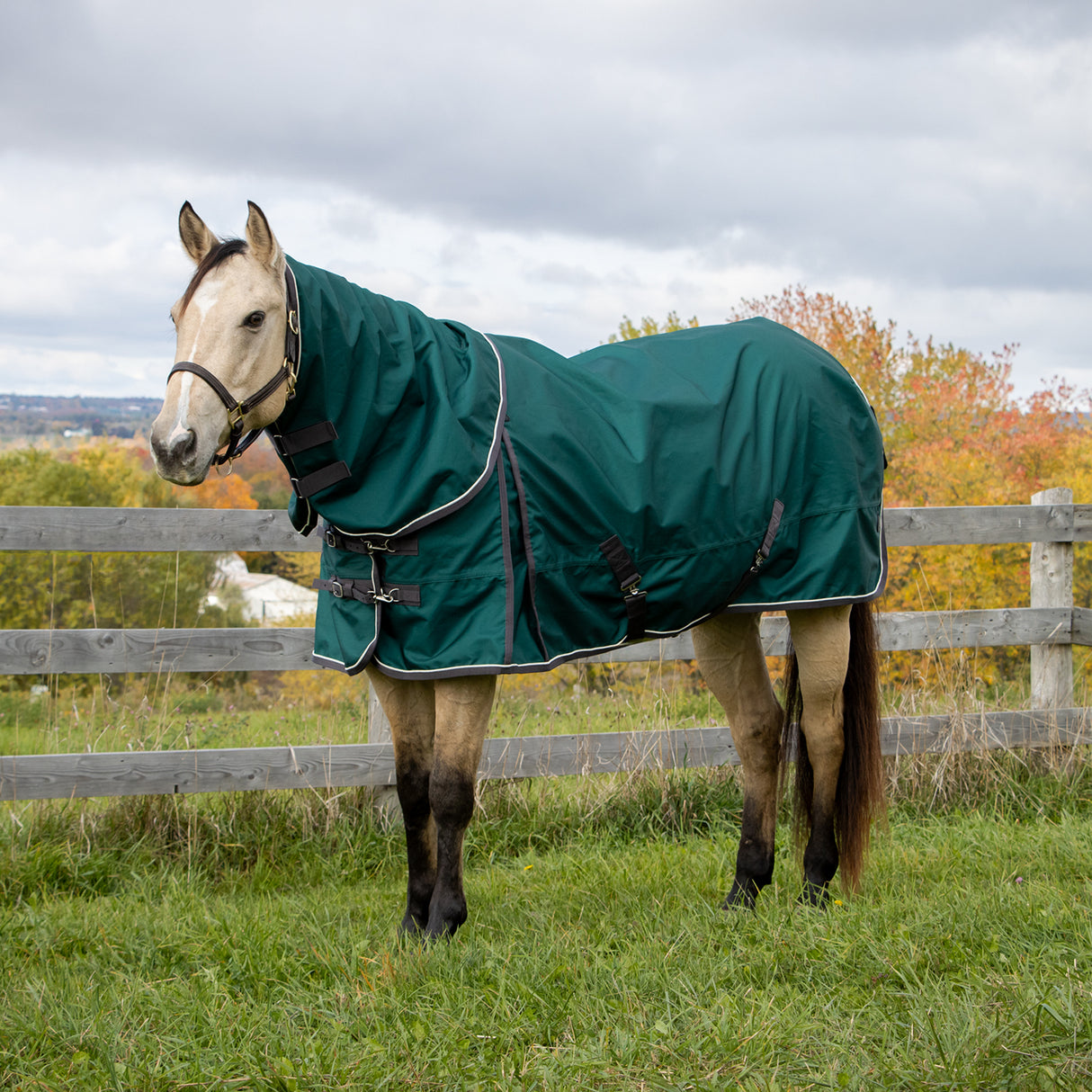 Shedrow Insulated Rainsheet W/ Hood 100 g