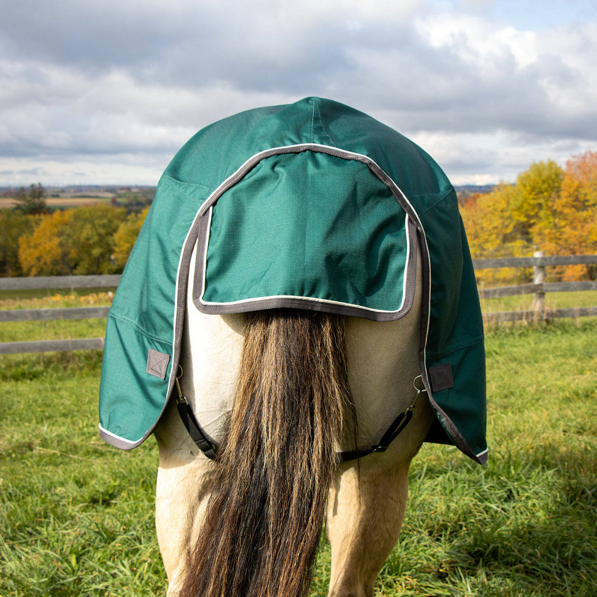 Shedrow Insulated Rainsheet W/ Hood 100 g