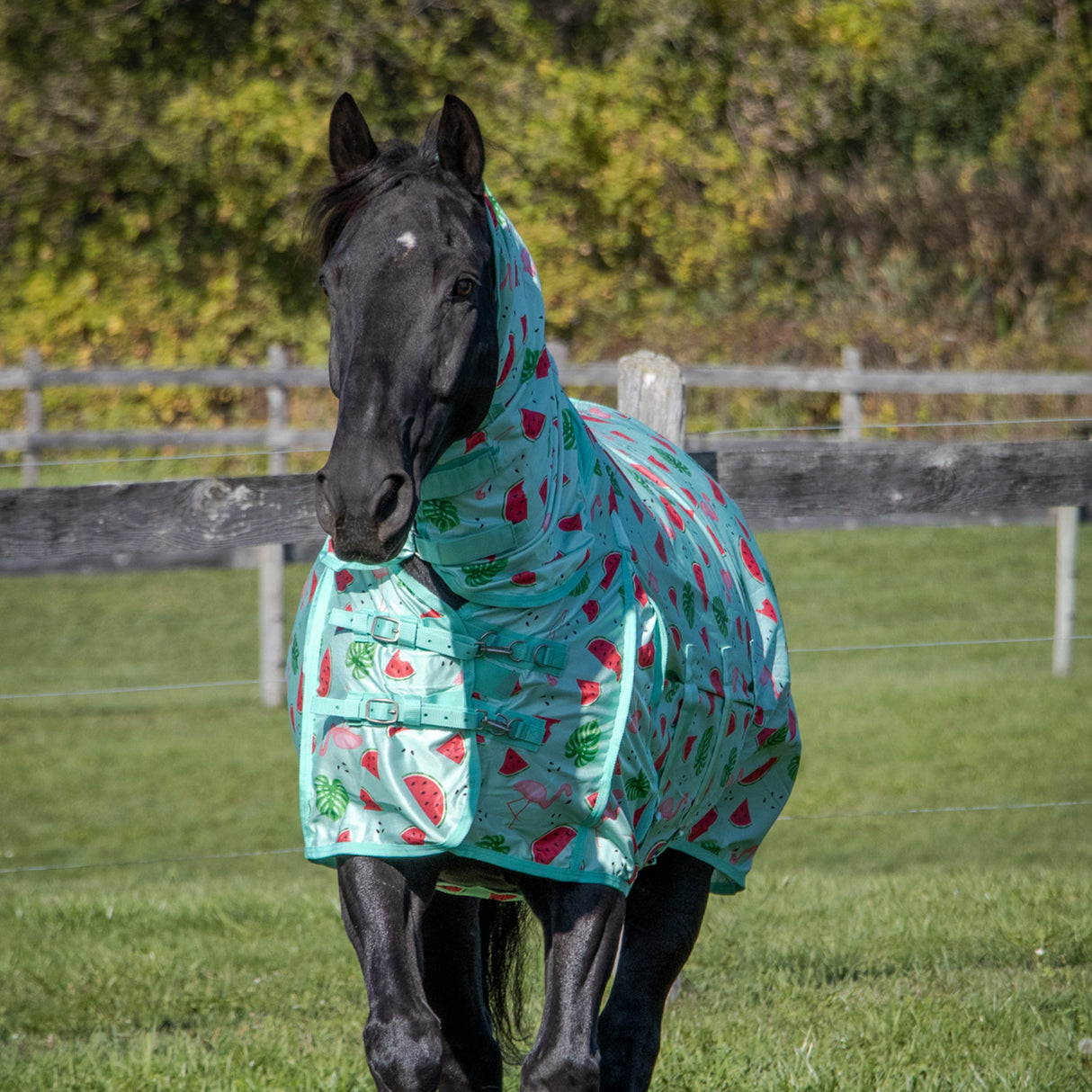 Couverture anti-mouches Shedrow Flamingo Breeze Extend-A-Neck