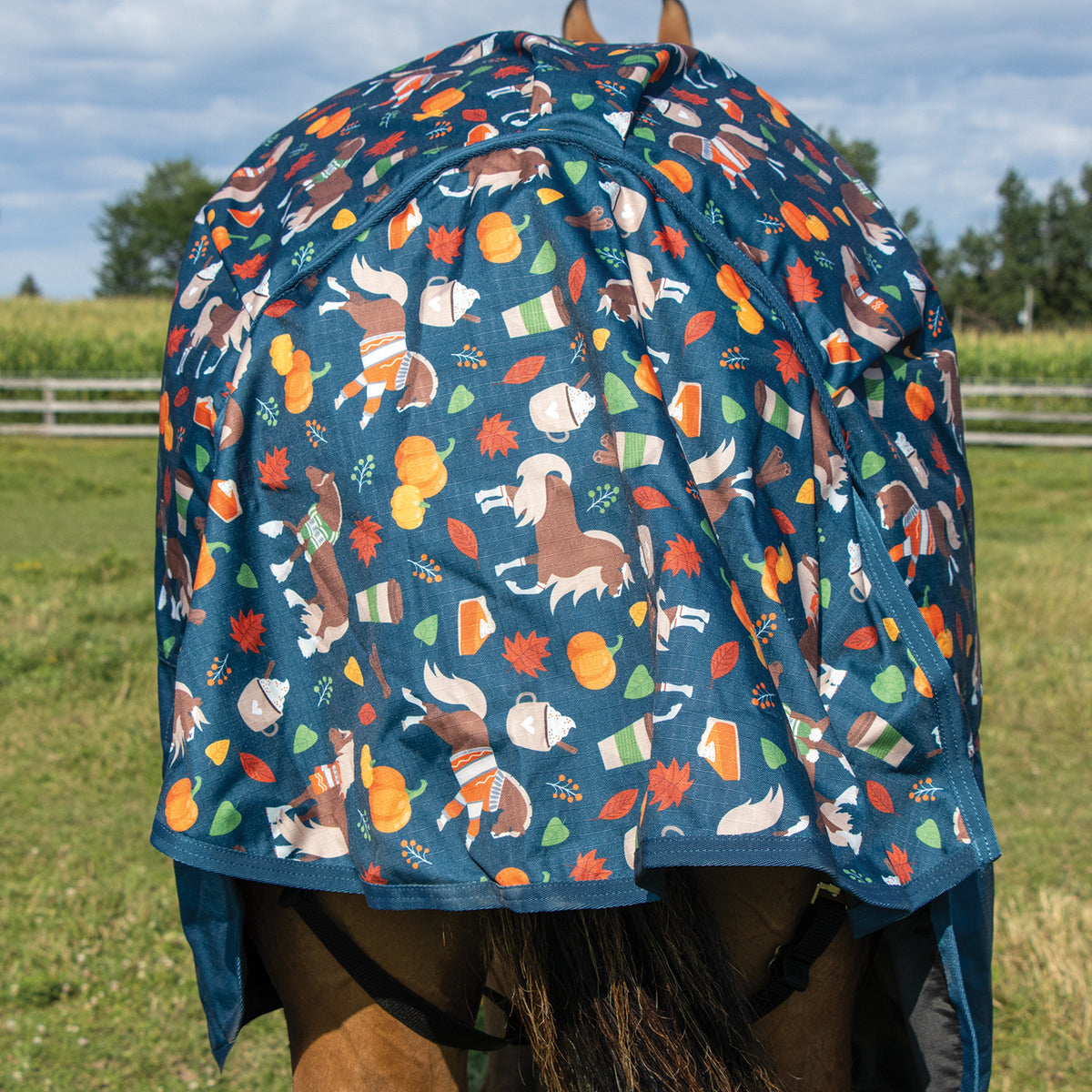 Pumpkin Spice Ponies x Supra Full Neck Rainsheet 0 g
