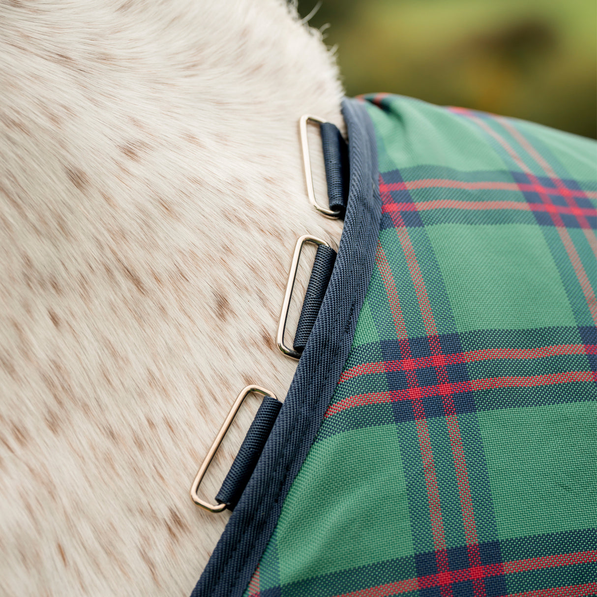 Limited Edition Rhino Pony Plus Vari-Layer Turnout Blanket 250 g