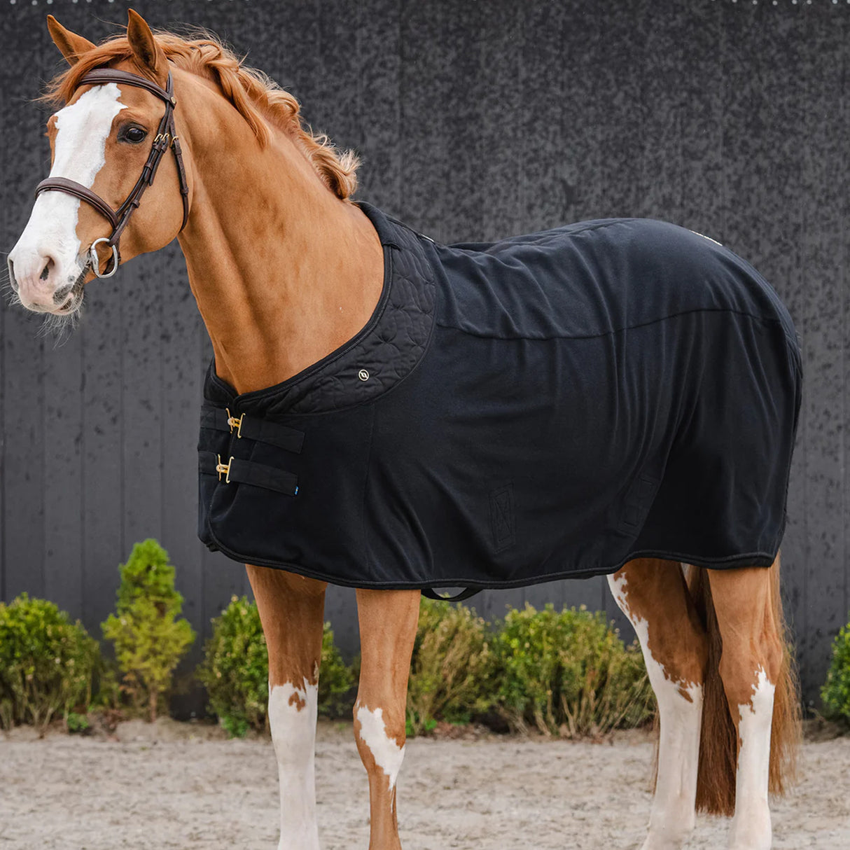 Tapis polaire Back on Track Deep Nights