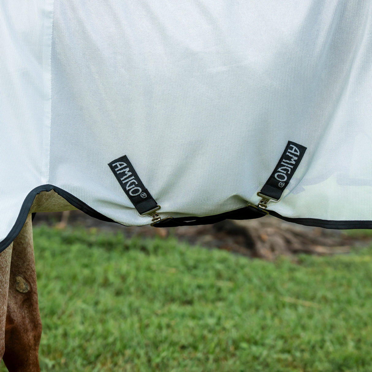 Amigo Bug Rug Quarter Horse Plus Fly Sheet