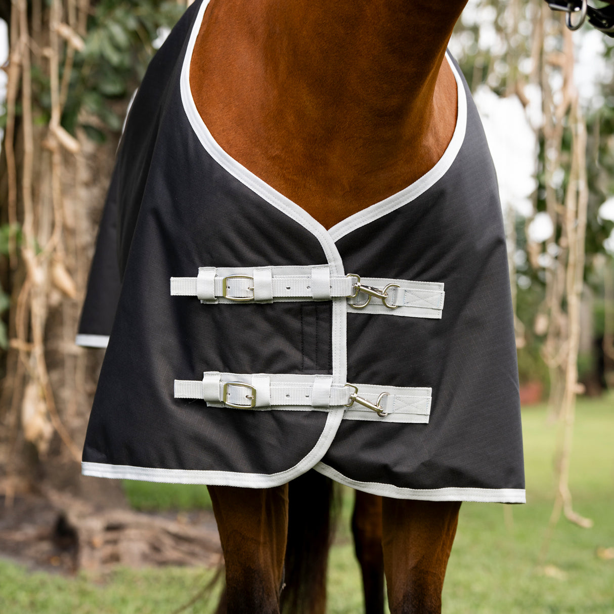 Amigo Ripstop Quarter Horse Plus Turnout Blanket 200 g