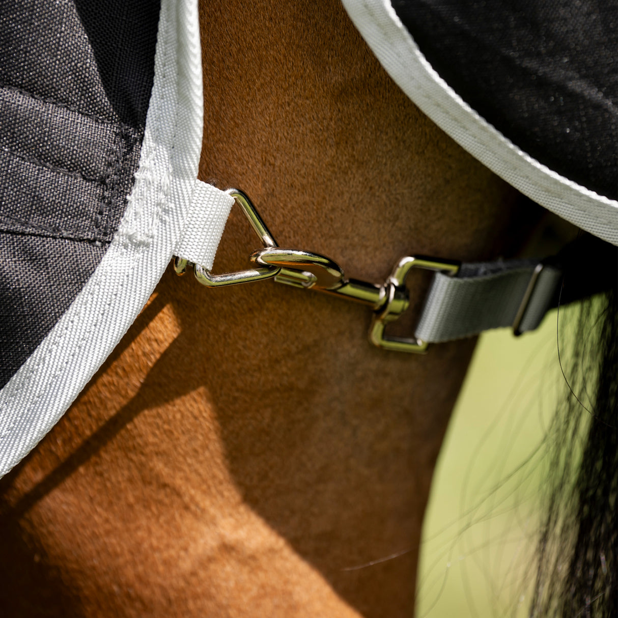 Amigo Ripstop Quarter Horse Plus Turnout Blanket 200 g