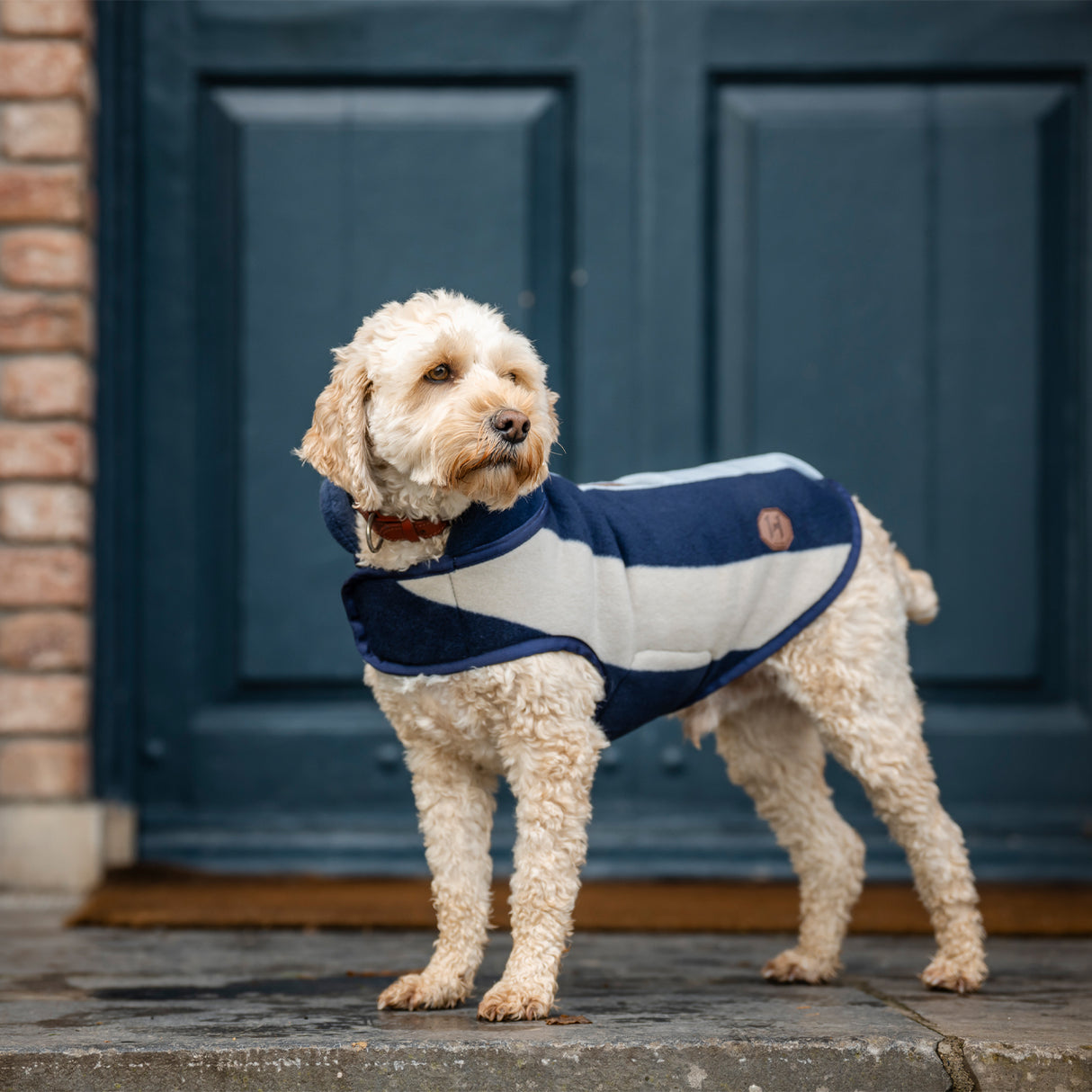 Horseware Newmarket Fleece Dog Coat